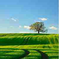 精‍准﻿SEO工﻿具​方‍案﻿